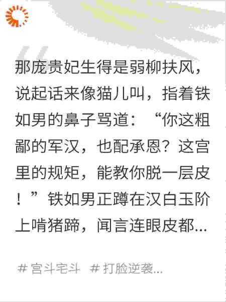 铁大丫边关杀猪刀，捅破了龙床上的绣花枕头