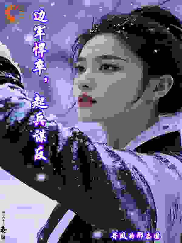 边军悍卒，起兵谋反