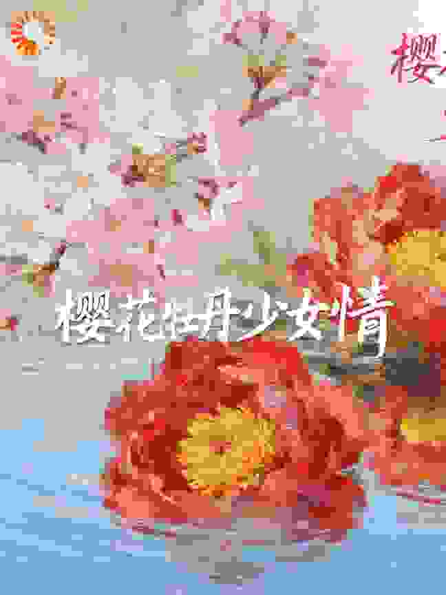樱花牡丹少女情
