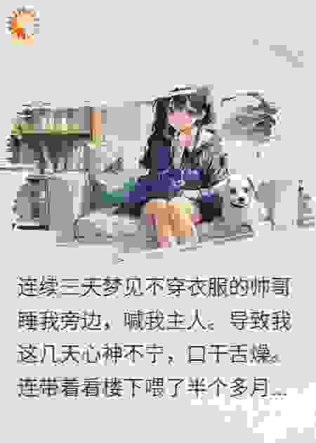 温柔小狗