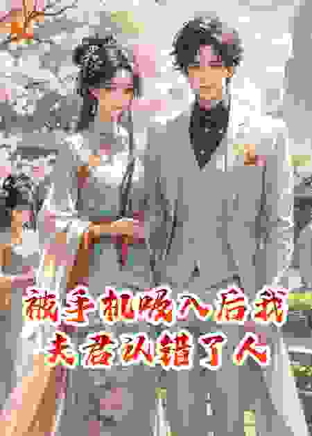 被手机吸入后我夫君认错了人