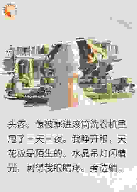 甩了霸总前夫后，我靠摆烂成了他唯一的噩梦